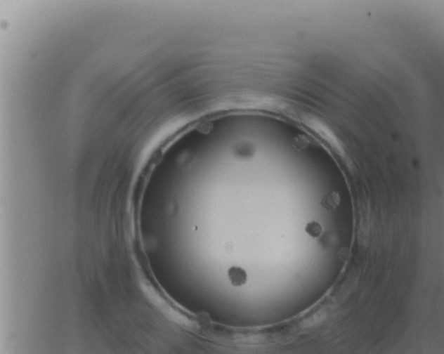 X0000062921080200601201955