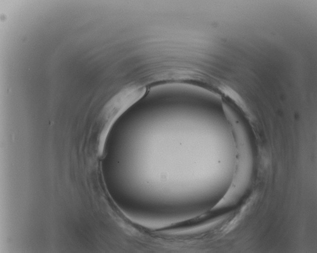 X0000062921081200601201955