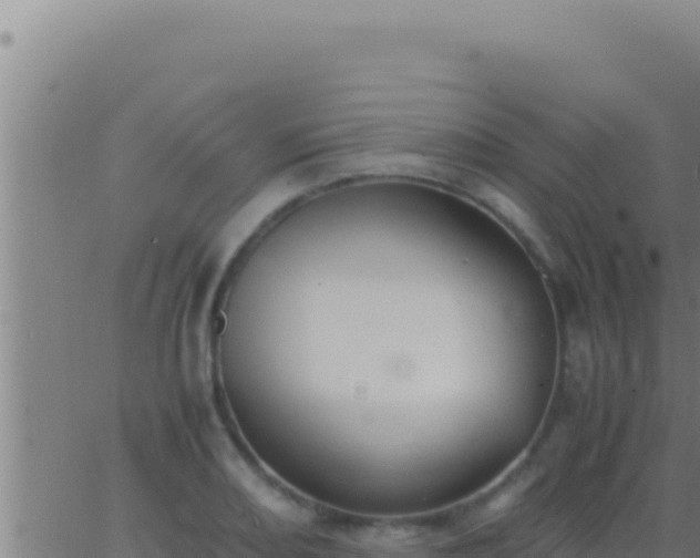 X0000062921082200601201955