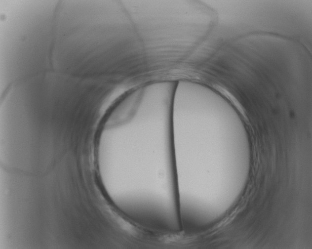 X0000062921083200601201955