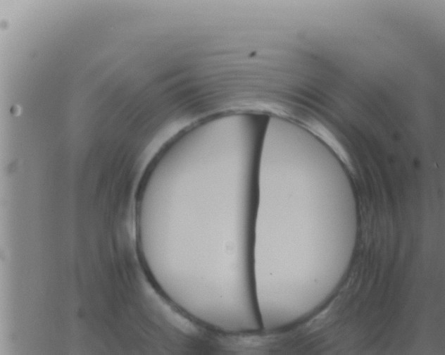 X0000062921084200601201955