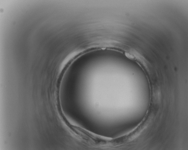 X0000062921085200601201955