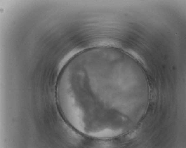 X0000062921086200601201955