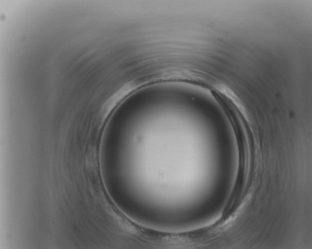 X0000062921089200601201955