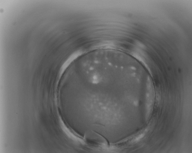 X0000062921090200601201955