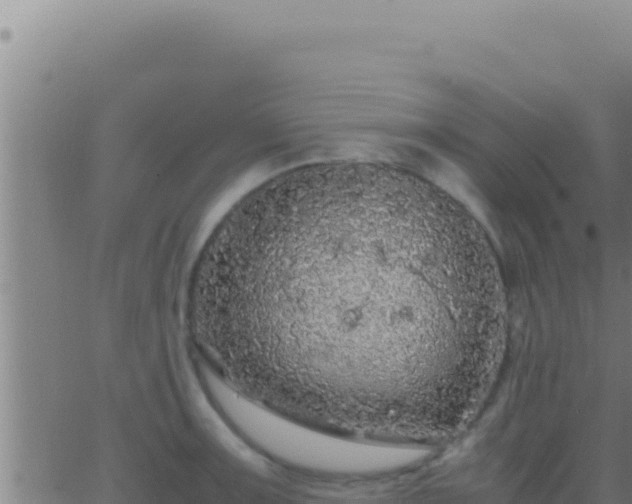 X0000062921091200601201955