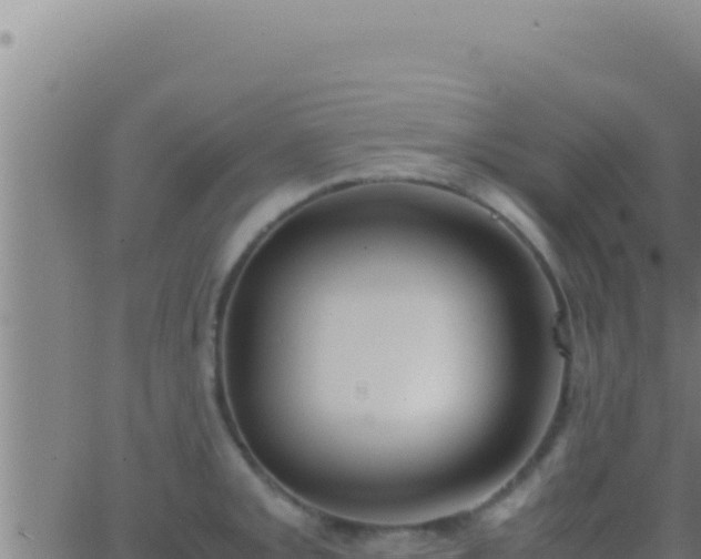 X0000062921093200601201955