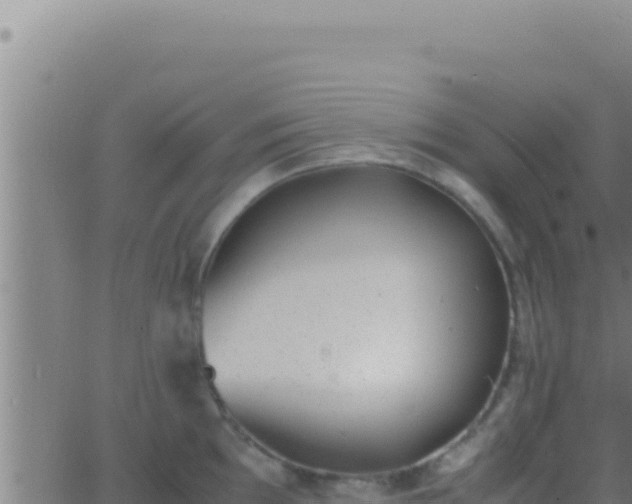 X0000062921097200601201955