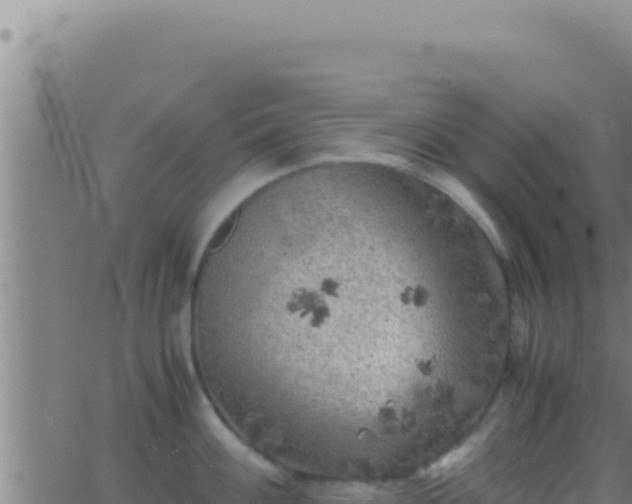 X0000062921100200601201955