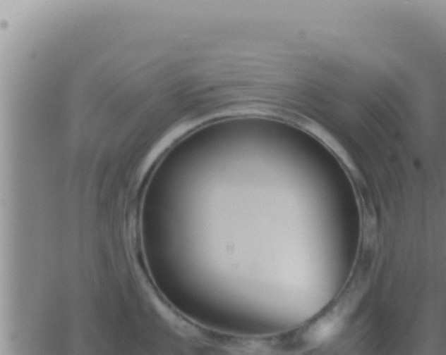 X0000062921101200601201955