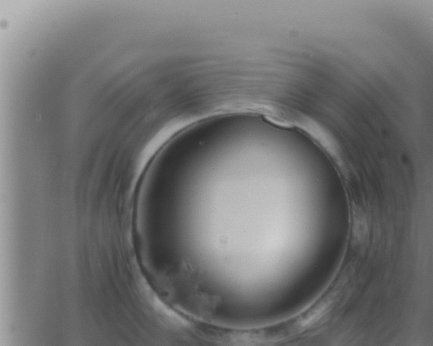 X0000062921102200601201955