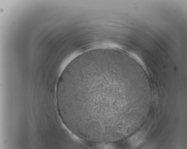 X0000062921103200601201955