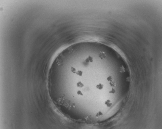 X0000062921104200601201955