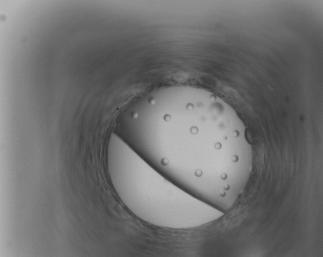 X0000062921105200601201954