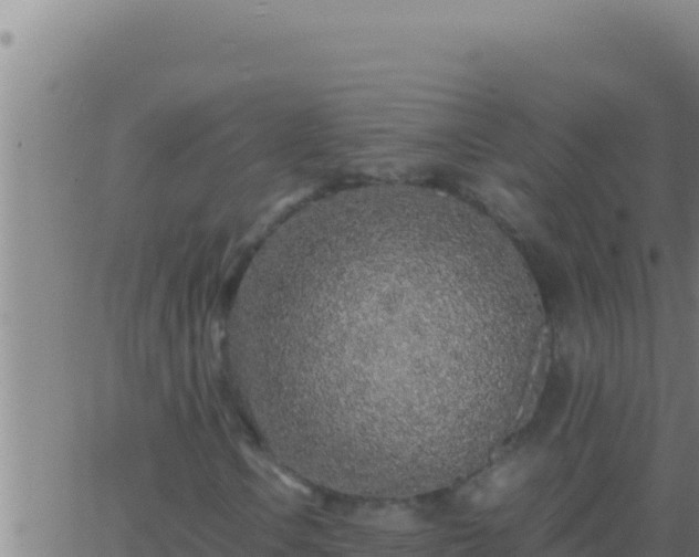 X0000062921106200601201954