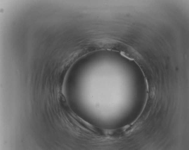 X0000062921108200601201954