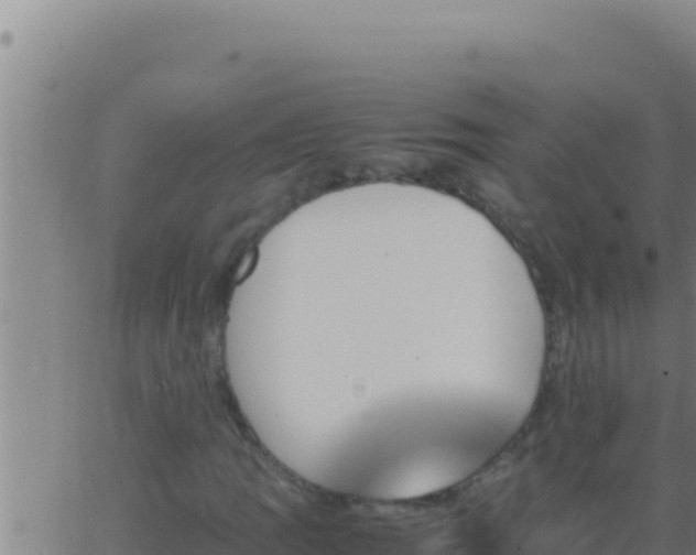 X0000062921109200601201954