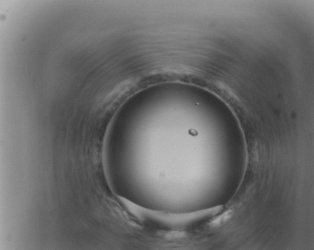 X0000062921110200601201954