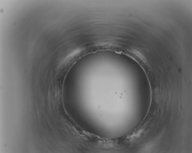 X0000062921111200601201954