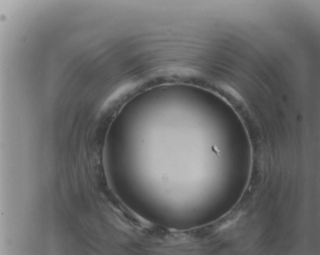 X0000062921112200601201954