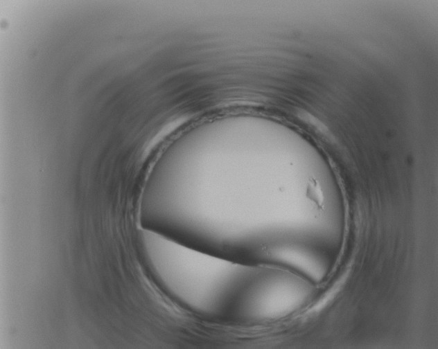 X0000062921113200601201954