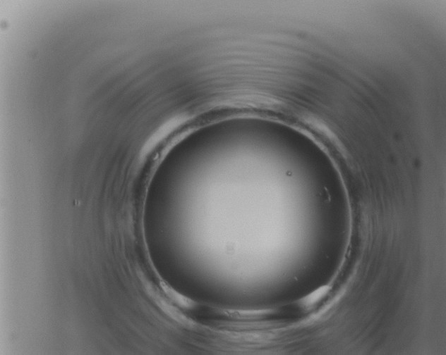 X0000062921114200601201954