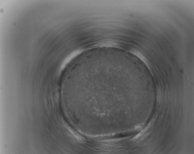 X0000062921115200601201954