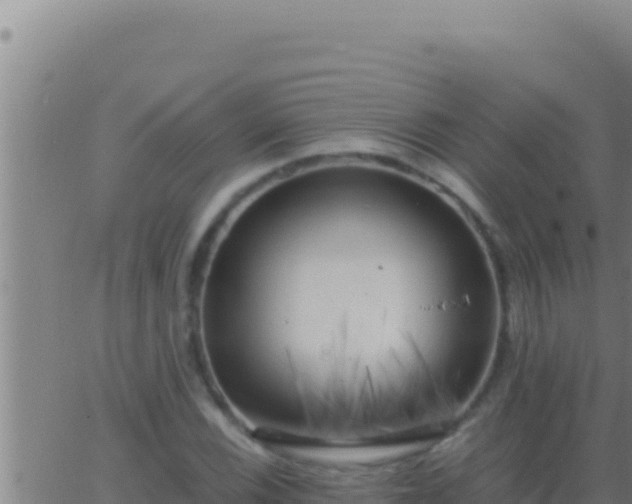 X0000062921116200601201954