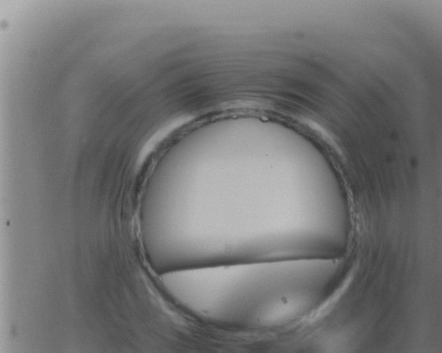 X0000062921117200601201955