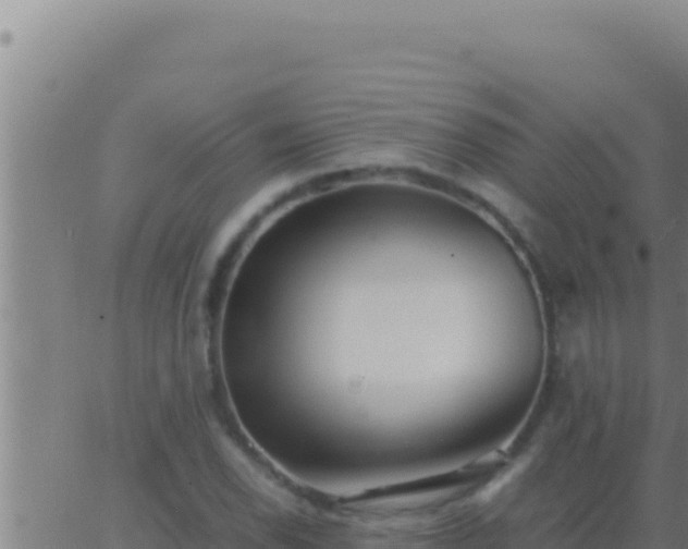 X0000062921118200601201955