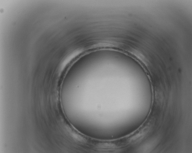 X0000062921119200601201955