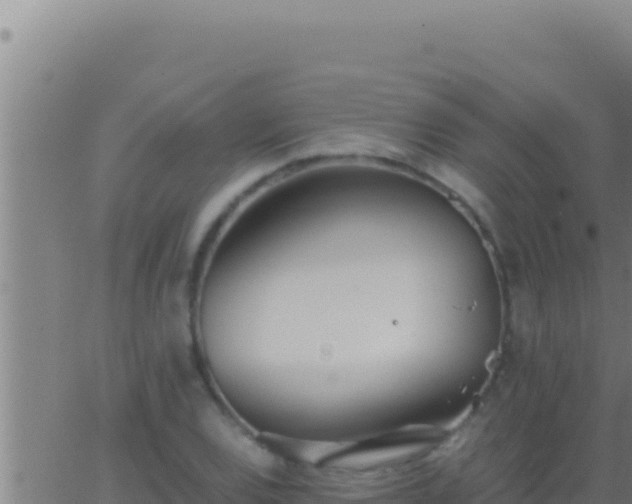 X0000062921120200601201955