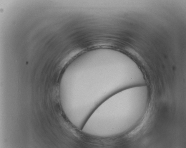 X0000062921121200601201955