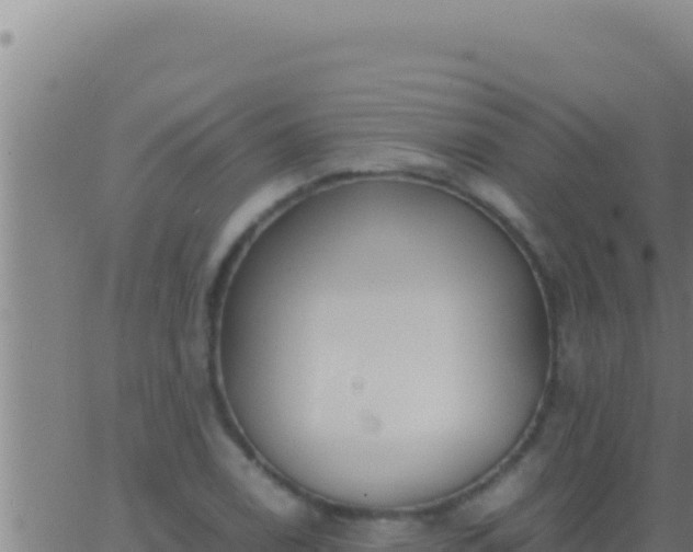 X0000062921122200601201955