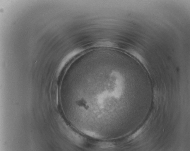 X0000062921123200601201955