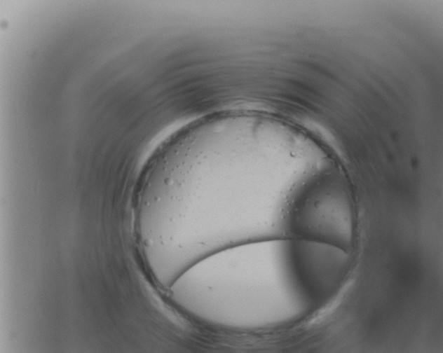 X0000062921125200601201955