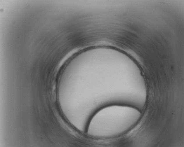 X0000062921126200601201955