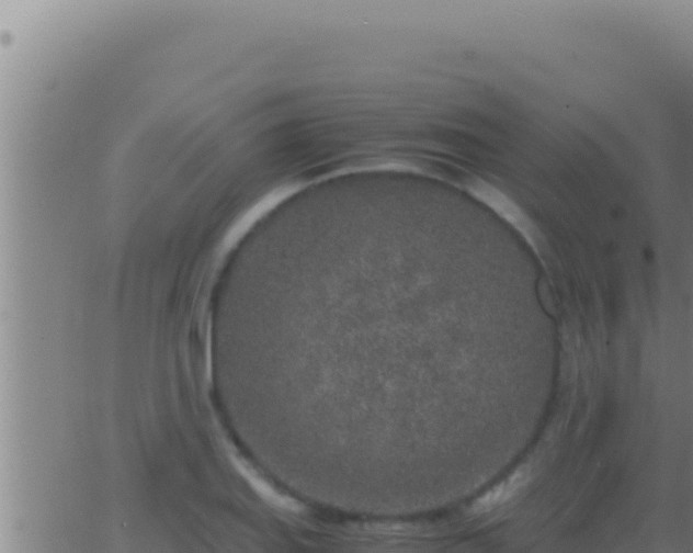 X0000062921127200601201955