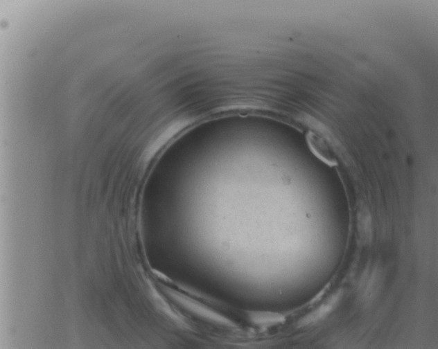 X0000062921129200601201955