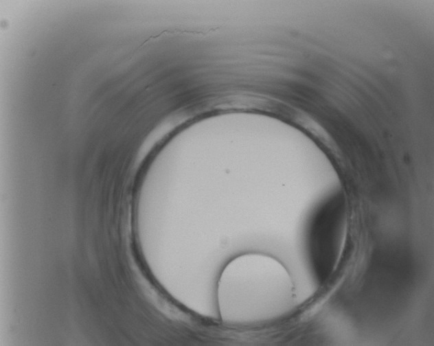 X0000062921130200601201955