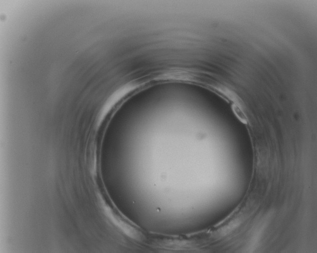 X0000062921131200601201955