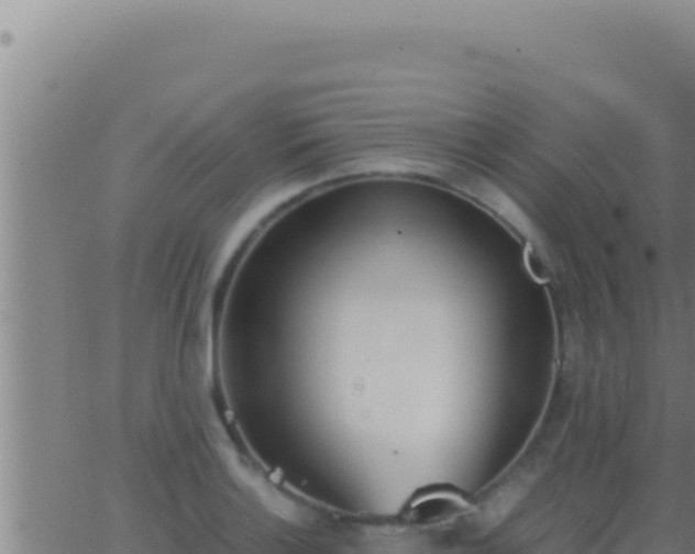 X0000062921132200601201955