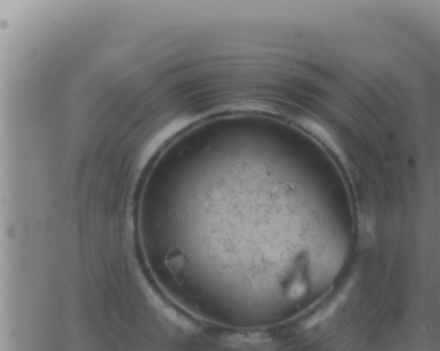 X0000062921133200601201955