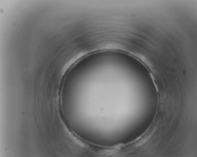 X0000062921134200601201955