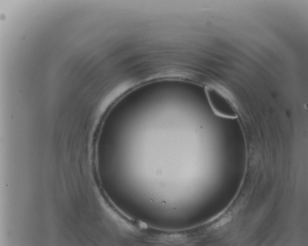 X0000062921135200601201955