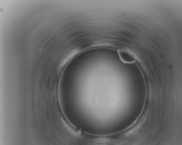 X0000062921137200601201955