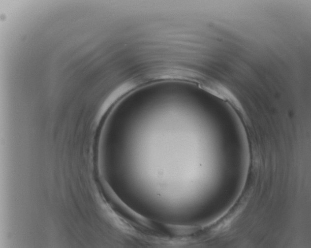 X0000062921138200601201955