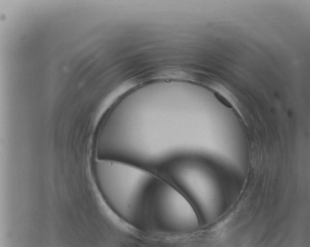 X0000062921139200601201955