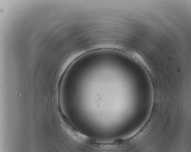 X0000062921140200601201955