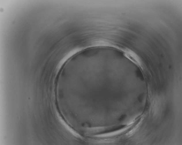 X0000062921142200601201955